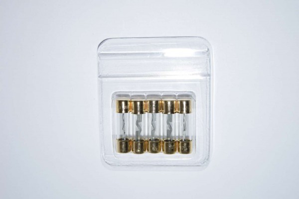 5 AGU Sicherung 100A Ampere KFZ Auto Carhifi Glassicherung 5er Pack