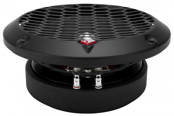 Rockford Fosgate PPS8-10