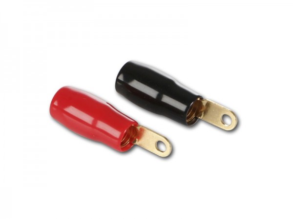 Ringkabelschuhe bis 20 qmm mit 4mm Loch