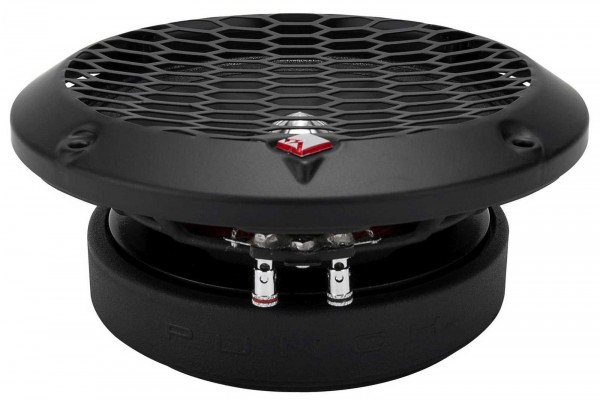Rockford Fosgate PPS4-10