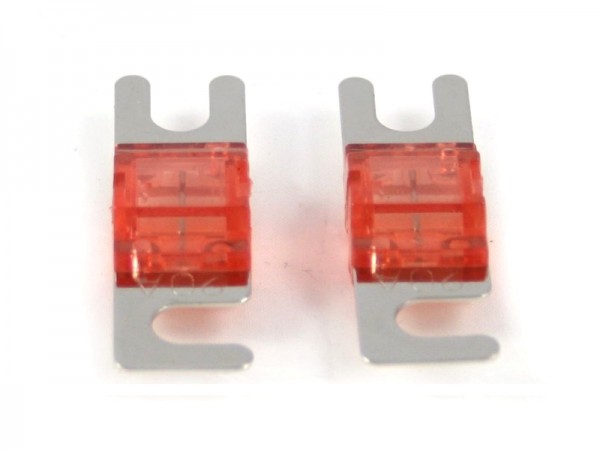 Hollywood Energetic MANL 20